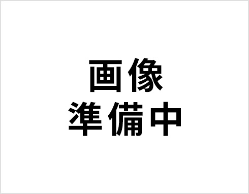 HEAT20 G1 (6・7地域)