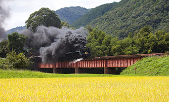 山口市の注文住宅｜価格相場＆坪単価を徹底解説！