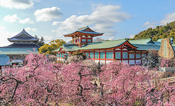 防府市の注文住宅｜価格相場＆坪単価を徹底解説！