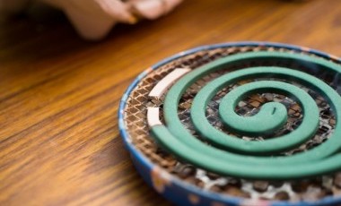 山口の業者が紹介！注文住宅を建てる際の虫対策について！/山口・広島で注文住宅建てるならタナカホームズ