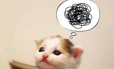 注文住宅で後悔しないためのポイントを山口の業者が紹介/山口・広島で注文住宅建てるならタナカホームズ