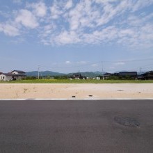 15号地