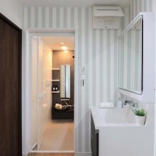 洗面化粧台(タカラスタンダード)