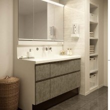 洗面台(タカラスタンダード)