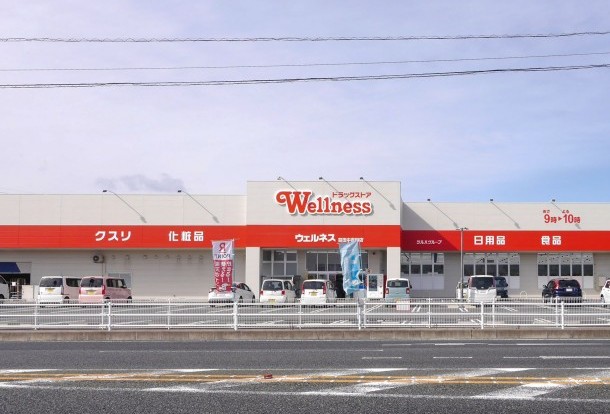 ドラッグストアウェルネス益田中吉田店
