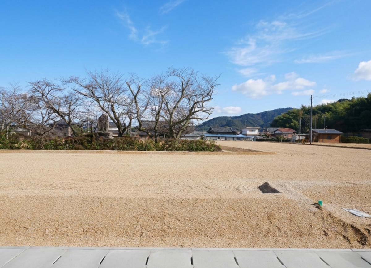 13号地（2026年2月撮影）