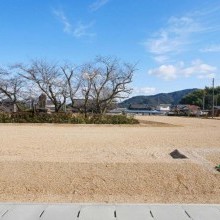 13号地（2026年2月撮影）