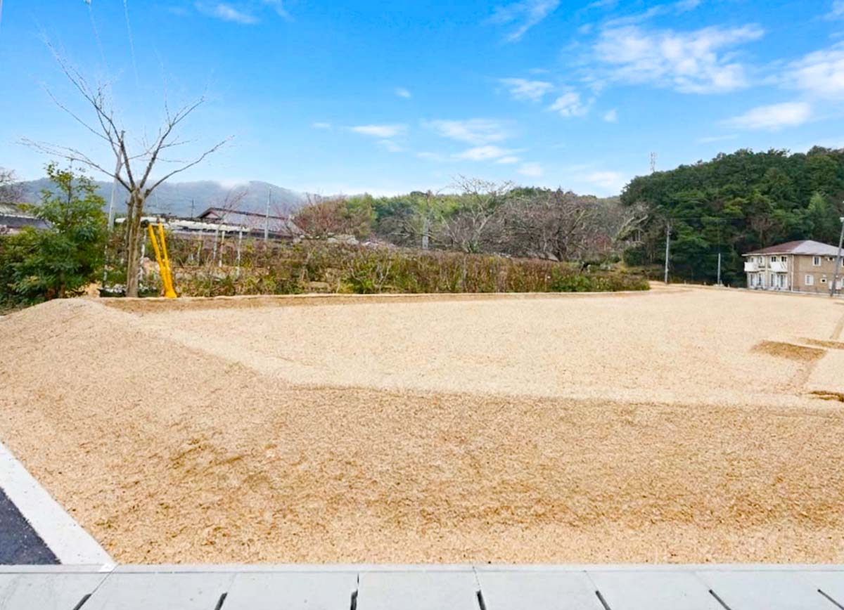 11号地（2026年2月撮影）