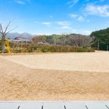 11号地（2026年2月撮影）