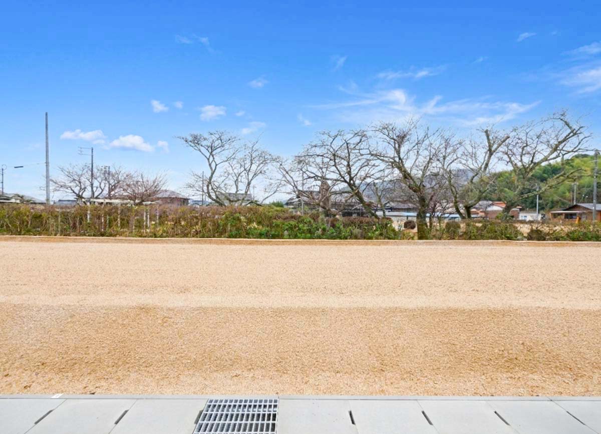 12号地（2026年2月撮影）