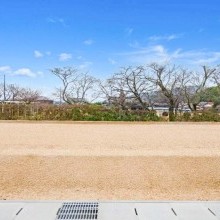 12号地（2026年2月撮影）