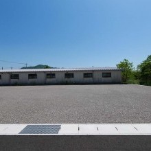3号地