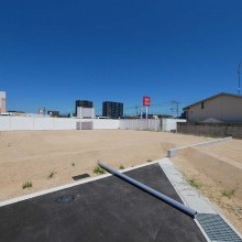 4号地(2026年8月末撮影)