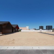 1号地(2026年8月末撮影)