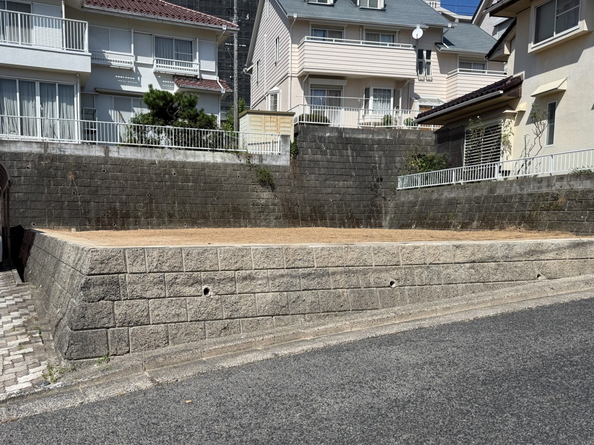 現地写真